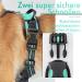 Rabbitgoo No-Pull Adjustable Dog Harness for Medium Dogs - Breathable Control Harness with Reflex Stripes - Safe & Comfortable Mint Green (1 Pack) - Buy Online on GoSupps.com