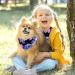 Buy Multi-Colored Triangular Dog & Cat Scarves | 2 Pieces for All Sizes - Shop Internationally! - Buy Online on GoSupps.com