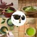 Stoneware Set de th matcha - Style japonais 4 pi ces avec bol verseur whisk cuill re et support | Fabrication traditionnelle pour les amoureux c r monie d'essuyage lisse accessoires Gris Marron. - Buy Online on GoSupps.com
