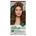 Clairol Root Touch-Up by Natural Instincts Permanent Hair Dye  5G Golden Brown Hair Color  Pack of 1 5G Golden Brown 2.72 Ounce (Pack of 1)