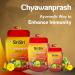 Sri Sri Tattva Chyawanprash 1Kg Pack van 2 - Buy Online on GoSupps.com