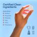 BLUELAND Hand Soap Starter Set Refillable Glass Foaming Hand Soap Dispenser with 4 Refill Tablets Variety Scents - 9 Fl Oz - Pack Of 4 - Buy Online on GoSupps.com