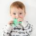 PrimaStella Silicone Cactus Teethers for Babies - Set of 2, BPA Free, Safety Tested, Cute & Soothing, Easy to Hold - Green & Neo Mint - Buy Online on GoSupps.com