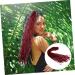 POPETPOP Dirty Little Braids Braided Wig Men Wigs Ponytail Wigs Dreadlock Crochet Hair Unisex Dreadlock Wig Braid Wigs Fashionable Hair Wig Women Hairpiece Extensions Dreadlock Extensions 90X8CM Claret - Buy Online on GoSupps.com