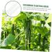 VANZACK Horticulture 3pcs Vegetable Shaping Mold Vegetables Growing Mold Shape Mold for Vegetable Flower Shape Watermelon - Buy Online on GoSupps.com