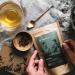 Buy Teegeschwister Organic Oolong Anhui - Mild Loose Leaf Semi-Fermented Tea | 100g International Shipping - Buy Online on GoSupps.com