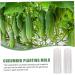 Toddmomy Garden Fruit Mould 4 Pcs Vegetable Shaping Mold Vegetables Vegetable Shaper Mold Cucumber Growth Molds Accessories - Buy Online on GoSupps.com