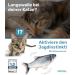 Buy Pettec Interactive Cat Toys - Electrically Movable Fidget Fish with Catnip - Best Self-Employment Toy for Cats - Buy Online on GoSupps.com