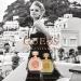 Guess Bella Vita Rosa Fragrance Mist 8.4 Fl Oz - Buy Online on GoSupps.com