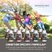 Mountain Peak Nutritionals Energy Formula - All in One Multi-Mineral Powder - Complete Nutrition Vitamin Mineral and Electrolyte Supplement for Men & Women - Orange Flavor (255g 30 Servings) 8.99 Ounce (Pack of 1) - Buy Online on GoSupps.com