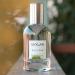 Skylar Willow Eau De Toilette 1.7 oz Perfume - Buy Online on GoSupps.com