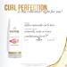 Pantene Curl Perfection Conditioner 12 Fl Oz (Pack of 6) - Hydrating Formula for Defined Curls - Buy Online on GoSupps.com