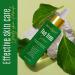 Organic Tea Tree Serum with Vitamin C - Clear Acne Scars Dark Spots & Blemishes | 2 Fl Oz for Youthful Glowing Skin - Buy Online on GoSupps.com