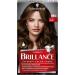 Brillance Intensive Color Cream Hair Color 884 Cocoa Brown - 3 Pack (3 x 160 ml) | International Shipping Available - Buy Online on GoSupps.com
