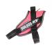 Julius-K9 IDC Powair dog harness size: S / Mini Pink Pink S/Mini