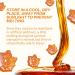 Premium Maple Syrup Hard Candies by Pollipop | Made with Pure Canadian Grade A Amber Maple Syrup | Individually Wrapped Candy | No Artificial Additives | Great Kids Snacks | Candy Packs | 3-Pack Maple 3 Pack (324g) - Buy Online on GoSupps.com