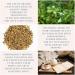 Organic Brahmi Tea 113g Loose Leaves Premium Bacopa Monnieri Leaf Cut Sifted Memory Support Relaxation Tea Ayurvedic Herb | DRAGONFLY HERBS - Buy Online on GoSupps.com