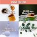 Snail Honey Jelly Face Sheet Mask - 10,000 ppm Snail Mucin & Honey | Intense Hydration for Dehydrated, Dry, Sensitive Skin | Korean Skin Care by JIN JUNG SUNG - Buy Online on GoSupps.com