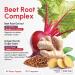 ForestLeaf USDA Organic Beet Root Capsules - Beetroot Supplement 16000 mg Strength 20:1 Extract w/Ginger Grape Seed - Support Blood Pressure Nitric Oxide Flow Circulation - Made in USA - 120 Caps 120 Count (Pack of 1) - Buy Online on GoSupps.com