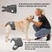 Nature PET Dog Diaper Pants for Female Dogs - Gray M - Incontinence Solution without Annoying Threading - Buy Online on GoSupps.com