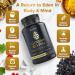 Genesis Revival Shilajit Lion s Mane & 8 Sacred Botanicals to Nourish The Pineal Gland for Energy Mental Clarity Graceful Aging & a Return to Your Eden State 60 Count (Pack of 1) - Buy Online on GoSupps.com