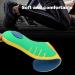 Plantar Fasciitis Insoles - Arch Support Inserts for Flat Feet & All-Day Comfort | Blue (L) Men s 8-12 & Women s 9.5-13.5 - Buy Online on GoSupps.com