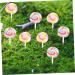 Abaodam 20 x Decorative Lollipops Cute Resin Candy Decoration Random Style - Buy Online on GoSupps.com