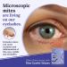 Cornea Care Rise Eyelid Wipes with Tea Tree Oil & Hyaluronic Acid - 30 Count | Dry Eye Relief and Cleanser | Travel Ready - Buy Online on GoSupps.com