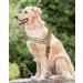 Buy Eeyfarog No Pull Dog Harness for Small to Medium Dogs - Reflective Adjustable Safe & Comfortable - Brown (S) - International Shipping Available - Buy Online on GoSupps.com