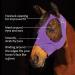Buy ProfChoice Comfort Fit Lycra Fly Mask VIOLET 2021 | Size M Cob - International Shipping Available - Buy Online on GoSupps.com