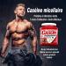 Beverly PROFESSIONAL CASEIN | Micellar Casein | 1kg | Slow Release Protein | 1 Month Use | Chocolate Flavor | Free Blender - Buy Online on GoSupps.com