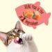 Friskies Party Mix Cat Treats Bundle | Original Crunch and Naturals Seaside Crunch - 908 g Original Crunch + Cat Treats Seaside 454 g (Pack of 1) - Buy Online on GoSupps.com