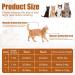 Kcysta Cat Harness and Lead Set Escape Proof Cat Vest Harness and Leash Set Adjustable Cat Harness Escape Proof with Reflective Strip for Outdoor Walking Training (Orange S) - Buy Online on GoSupps.com