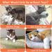 ETEKYER Catnip Toys for Indoor Cats - Interactive Chew Toys with Catnip - Multi-color Cat Pillow Toy for Kitten Kitty - Buy Online on GoSupps.com