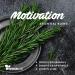 SenseLAB Rosemary Essential Oil - 100% Pure Therapeutic Grade Extract for Diffuser, Hair & Skin Care - Outdoor Protection - 10ml - Buy Online on GoSupps.com