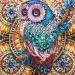 Hibah Diamond Painting DIY 5D Special Shape Rhinestone  Owl  Partial Diamond Crystal Diamond Painting Set (Mandala) golden