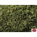 Spicy World Dill Weed 14oz Bag - Premium Seasoning for Salads and Soups - Buy Online on GoSupps.com