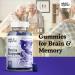 Wild Organic Brain Booster Gummies - Cognitive Function Support with Ashwagandha Bacopa Ginkgo Biloba - 60 Chewables - Buy Online on GoSupps.com