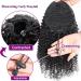 Ponytail Extension Kinky Curly Hair Extensions 8-26" Human Hair Drawstring Ponytail Extension Brazilian Real Human Hair Clip in Ponytail Hair Extension for Black Women Ponytail Hairpiece for Women ( 12inches Natural Color - Buy Online on GoSupps.com