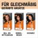 Schwarzkopf Root Set Permanent Hair grey coverage Colour for Concealing Hairline in Just 10 Minutes Root Colour for Harmonious Transitions - A4 Dark Brown Level 3 - PACK OF 3  - Buy Online on GoSupps.com