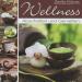 Wellness relaxation and feel good
