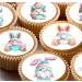 Easter Gnomes 24 edible Pre-Cut wafer paper cupcake party decorations toppers