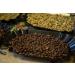 Bravi Caff - Italian artisan roasted coffee beans - Assortment of blends - 1 kg packaging (Decaff) - Buy Online on GoSupps.com