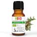 Cypress Oil Organic Essential Oil 100% Pure 10 ml - Aromatherapy Cosmetic Therapeutic - Laboratory Organic Cypress 10 ml (Pack of 1)
