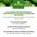Moriveda Watermelon Oil 100ml - 100% Pure Cold-Pressed Oil for Skin Hair & Beard Care | Vegan Massage Bathing & Food Oil - Buy Online on GoSupps.com