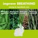 Medrull My Little Nose Aromatic Inhaler - 6 Pack | Improve Nasal Breathing & Cold Prevention for Kids & Adults | International Shipping - Buy Online on GoSupps.com