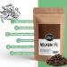 Spicy Welt Whole Cloves (500g) - Premium Quality Spices for Infusions Stews Marinades & Pastry | Intense & Aromatic Flavour | 100% Natural No Additives - Buy Online on GoSupps.com