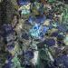 1pc Natural Azurite Raw Blue Malachite Rough Stones Display Stones GiftsDecor Minerals Can be Used for (Size : 10-50grams) HOMEZHOU (Size : 10-50grams) - Buy Online on GoSupps.com