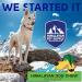 Himalayan Dog Chew - Hard Cheese Treats for Dogs 35 lbs & Under | 2.3 oz - Buy Online on GoSupps.com