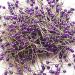 LEFV Quilting Pins Ball Head Sewing Pins,Pack of 100,Purple